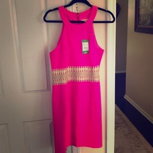 Lilly Pulitzer Ashlyn shift dress hot pink